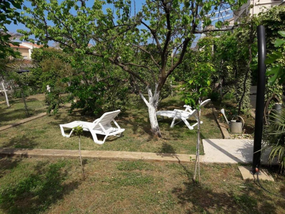 Apartments Amalia Zadar Dış mekan fotoğraf